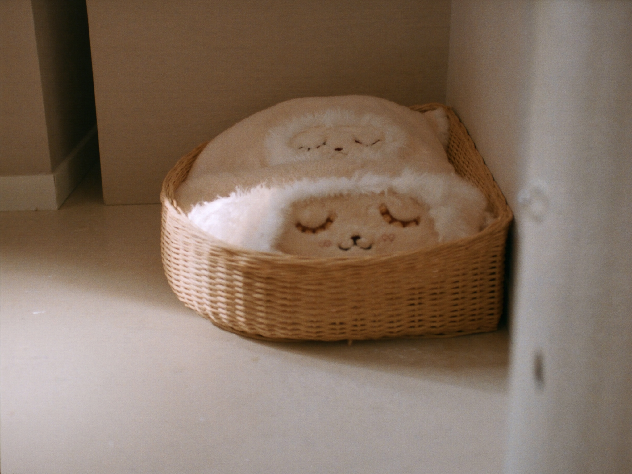 Quelle couverture offrir à son chien ou à son chat ? Image