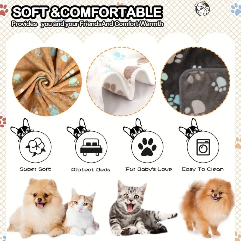 description_selected4